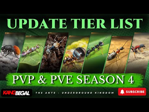 UPDATE TIER LIST