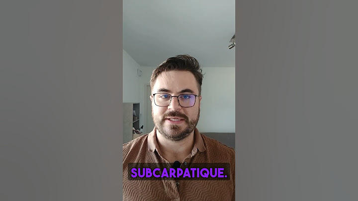 20% des Hongrois ne vivent pas en Hongrie.