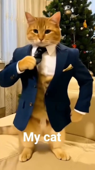 #cat #funny #cute https://youtube.com/shorts/_j8I7gJ5U1o?si=VtuknHTDNDPnTFgI #keşfet #ytdayibenio