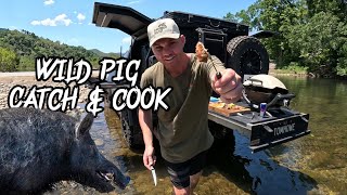 WILD PIG CATCH & COOK