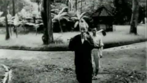 Chân dung một con người