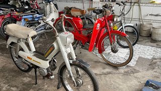 Xe Mobylette và Peugeot