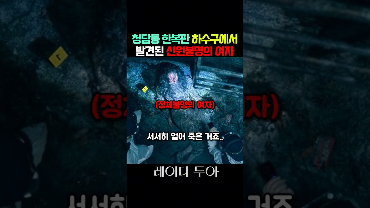 청담동 한복판 하수구에서 발견된 신원불명의 여자라니.. #넷플릭스 #레이디두아