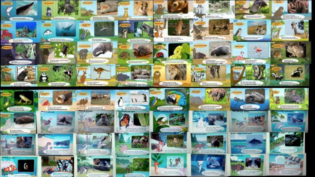 Meet the Animals Little Fox Collection - YouTube