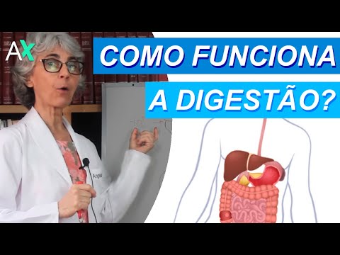 Vídeo: O estômago pode absorver glicose?