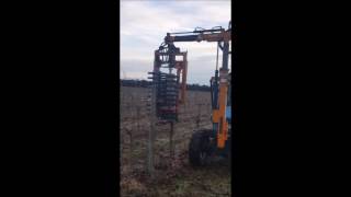 Prepruning at the Shiraz Republic
