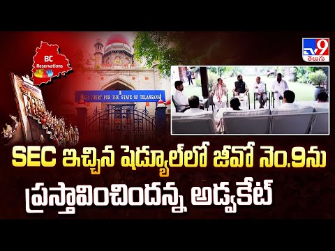 SEC ఇచ్చిన షెడ్యూల్‌లో జీవో నెం.9ను ప్రస్తావించిందన్న అడ్వకేట్  | Telangana High Court  -TV9 - TV9