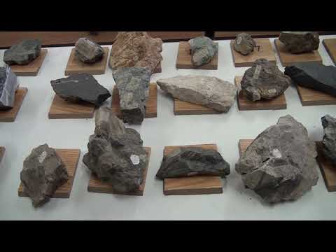 ალ. თვალჭრელიძის მინერალური ნედლეულის ინსტიტუტის ღვაწლმოსილი მეცნიერი  ვაჟა გელეიშვილის მონათხრობი