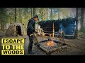 ESCAPE TO THE WOODS | Isolation | Stick Fire Cooking | Shelter Renovation | Bushcraft Camp | Solo