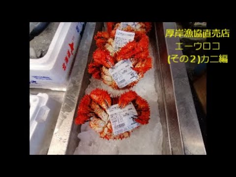 Goto北海道 9 8 午後13 03 厚岸漁協直売店エーウロコ その２ 冷凍ボイル 花咲ガニ編 Youtube