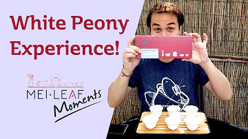 Co je pivoňka lékařská?