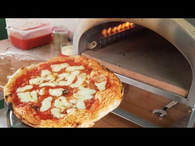 Toboli Forno per pizza a gas con pietra Ø330mm con funzione girevole  Fornetto portatile da esterno