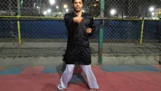 Siu Nim Tau _ Wing chun Form 1 - Eagle Jaber