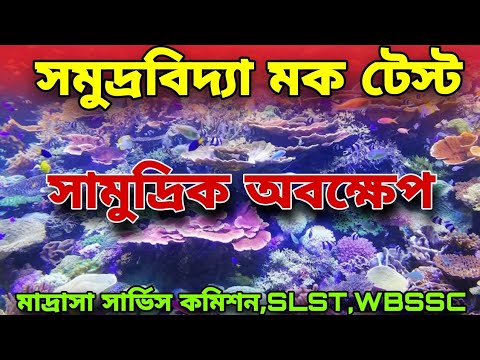 ভিডিও: টেরোপডের অর্থ কী?