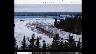 Newfoundland, Another Fur Farm Closed its Doors as Norway and Germany