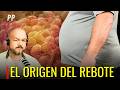 ⚡ “EL EFECTO REBOTE TIENE ORIGEN” Descubren células activas que impulsan volver a engordar