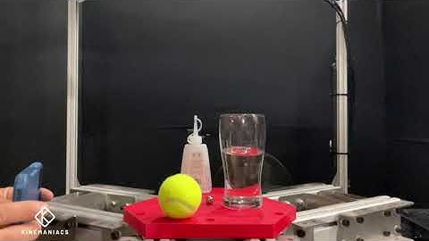 Catching You is Just as Important: Portal