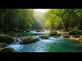 Forest River Sounds LIVE 🌿 Natural Water Ambience for Deep Sleep and Stress Relief