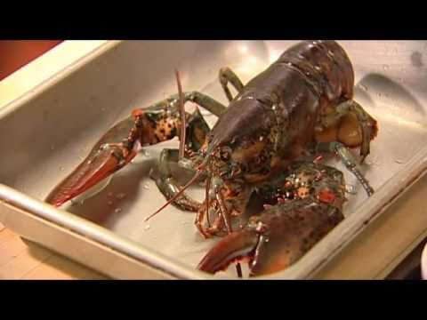 Chef Andrew King prepares lobster risotto at da Maurizio Restaurant