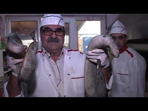 Enez'de gölden ızgaraya yılan balığının öyküsü