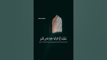 تلاوة خاشعة من الشيخ عكاشة كميني حفظه الله برواية خلف عن حمزة❤️ #قران #قران_كريم #عكاشة_كميني