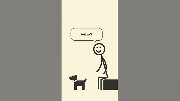 Programming jokes - part 4 #shorts