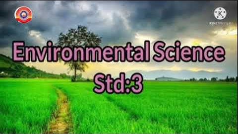 Standard 3 Evs Chapter 5 Part 4.With taste with health.