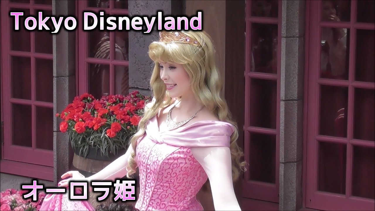 Tdl オーロラ姫 グリーティング 東京ディズニーランド Youtube