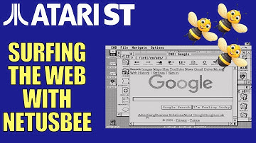 Getting an Atari ST on the information super highway with NetUSbee