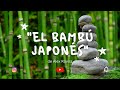 Cuento corto &quot;El bambú japonés&quot; - Álex Rovira