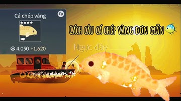 [FishingLife] Cách Câu Cá Chép Vàng Đơn Giản 🐠