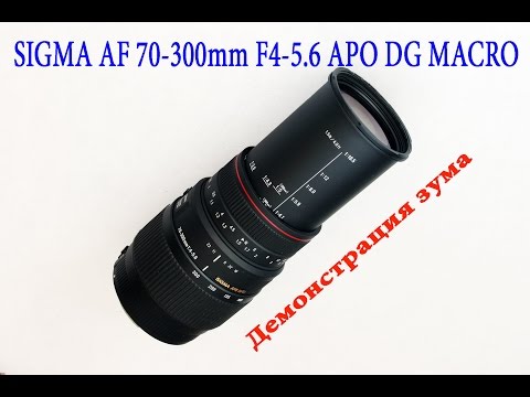 Sigma 70-300mm F4-5.6 APO DG Macro Примеры.