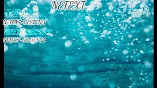 LOS ÉXITOS DE NEFEXT