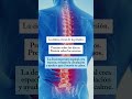 Cómo aliviar la ciática de forma natural reduciendo la presión en los nervios