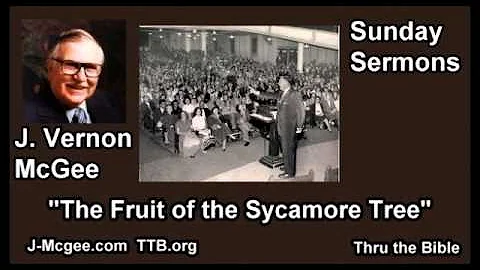 The Fruit of the Sycamore Tree - J Vernon McGee - ...