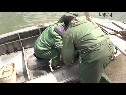 Video: Ինչպես ստանալ ձկան որսի քվոտա