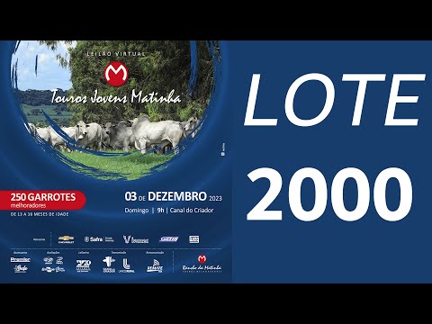 LOTE 2000