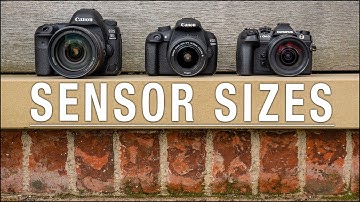 Camera Sensor Size Comparison – Which one is right for YOU?
