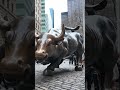 New York: Brooklyn Bridge e Charging Bull...Parata di San Patrizio! #shorts