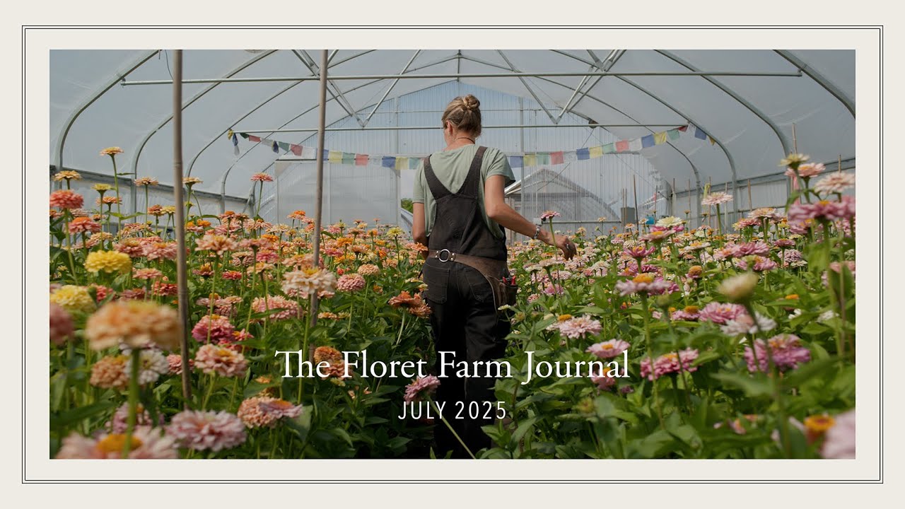 The Floret Farm Journal: July 2025