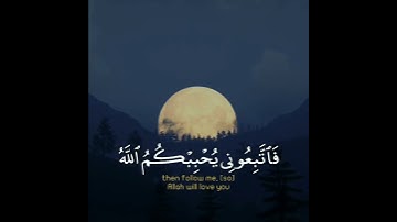 تلاوة هادئة تريح الأعصاب 😴🎧 | القاريء أحمد خضر - سورة محمد 🤍🌥️."