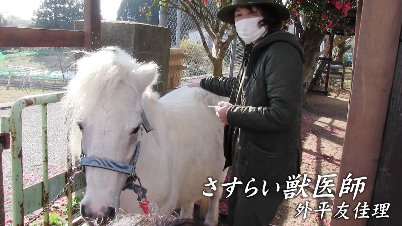 公式】ドキュメント九州「さすらい獣医師」（2023年8月29日OA） - YouTube
