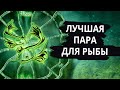 Совместимость знака РЫБЫ - лучшая и худшая пара.