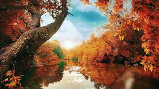#Футаж осень из сказки ◄4K•HD► #Footage autumn from a fairy tale
