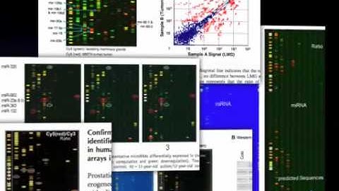 UTMB Seminar - microRNA PROFILING USING A HIGH PERFORMANCE, FLEXIBLE μPARAFLO®  BIOCHIP PLATFORM