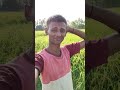 Desi hathiyar ne to jaan nikaal di 😰 #newminivlog #vlog #ashortaday #shorts #minivlog - 034