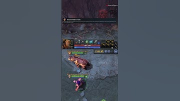 Dota 2 New Patch Bug Lone Druid philosopher