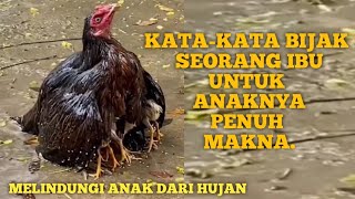 Kata-Kata Bijak Seorang Ibu untuk Anaknya, Penuh Makna.