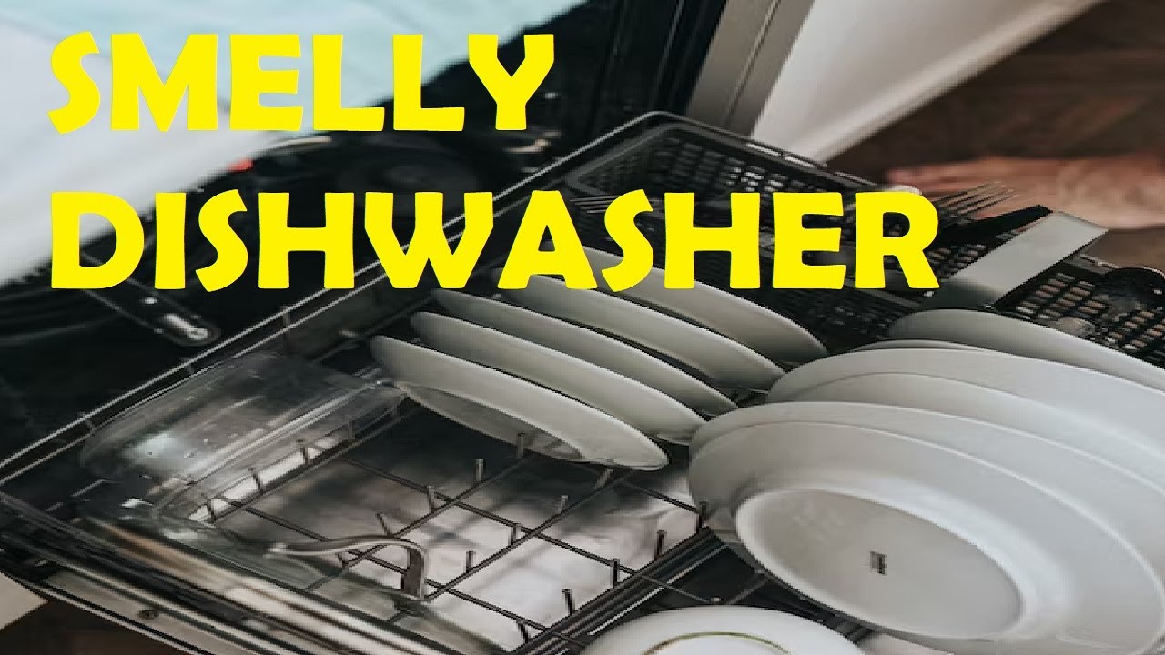 how to get the smell out of your dishwasher YouTube