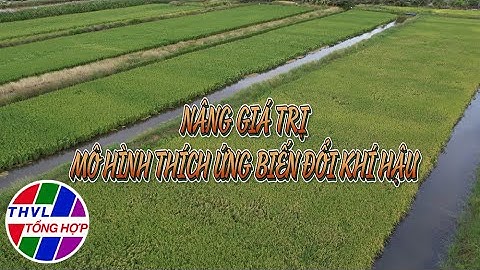 Nông nghiệp bền vững: Nâng giá trị mô hình thích ứng biến đổi khí hậu